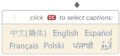 YouTube videos feature captions in multiple languages