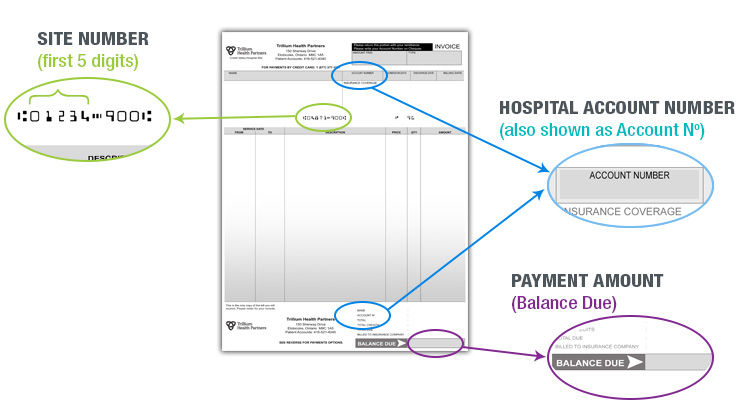 Site number (pre-printed number, appears just below the patient’s address field – use only first 5 digits, no dashes or spaces), Hospital account number (also shown as Account Number) and Payment Amount (shown as Balance Due at the bottom-right of the invoice)